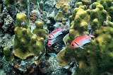 Curacao 04-12 200
